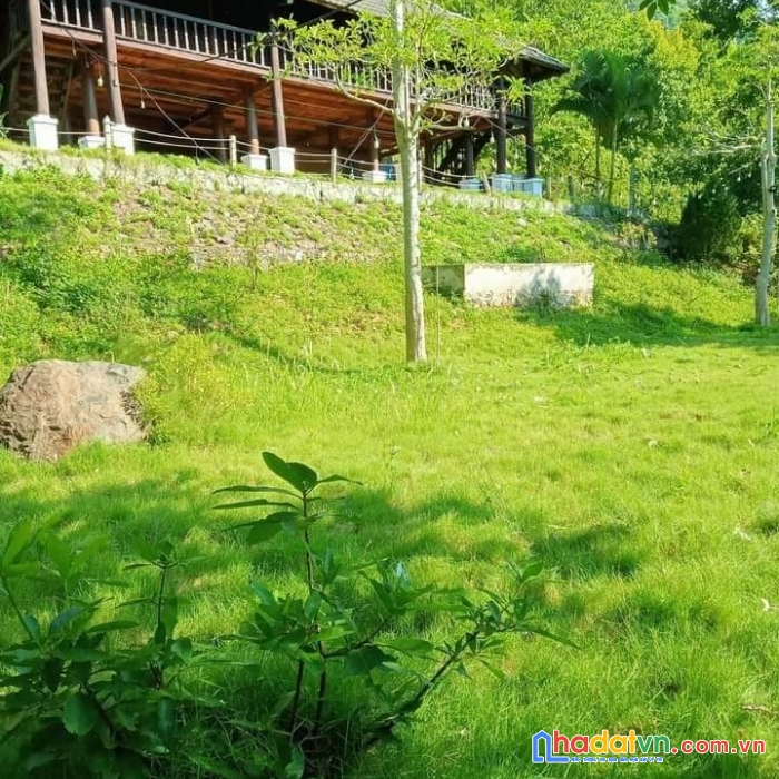 Sở hữu ngay lô đất đẹp tặng kèm nhà sàn vị trí đắc địa tại xóm gò bui, xã mông hóa, huyện kỳ sơn,