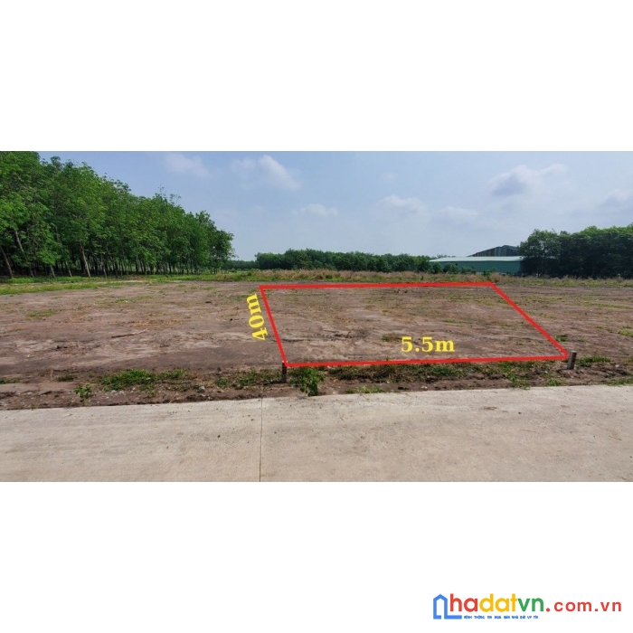 Ba nền chơn thành bình phước cần bán