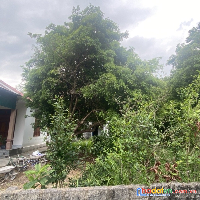 Bán 405.2m2 thôn tràng hương, xã đoàn kết, huyện vân đồn