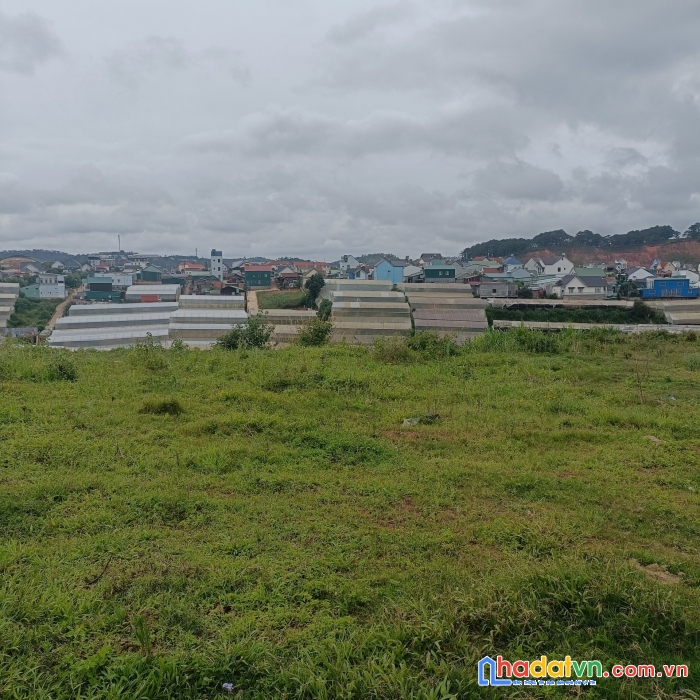 Bán hơn 5 sào đất tại lạc dược, vị trí đẹp để kinh doanh, giá chỉ 8tr/1m