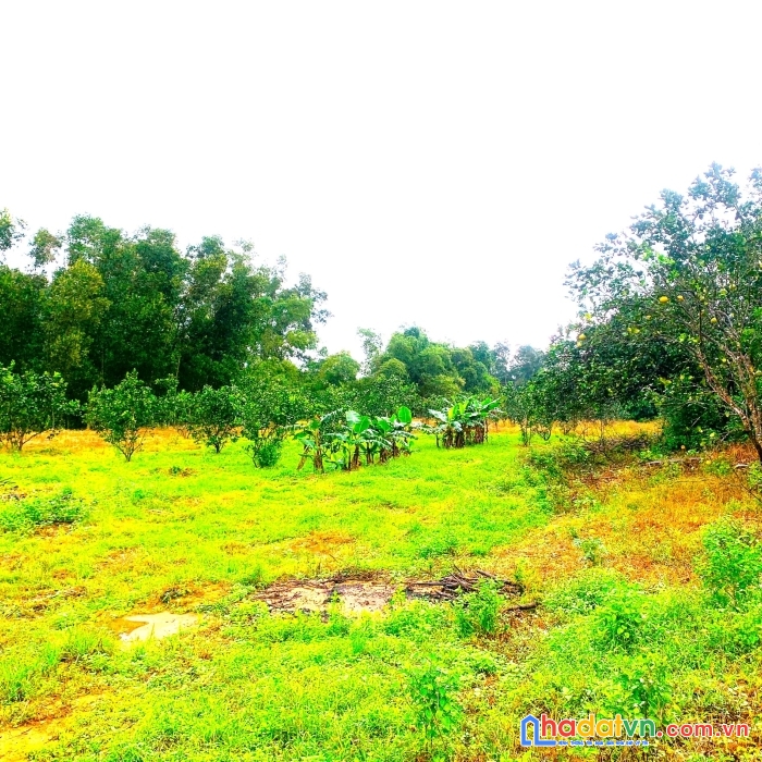 Cần chuyển nhượng lô đất 9380m2 hương bình, huế