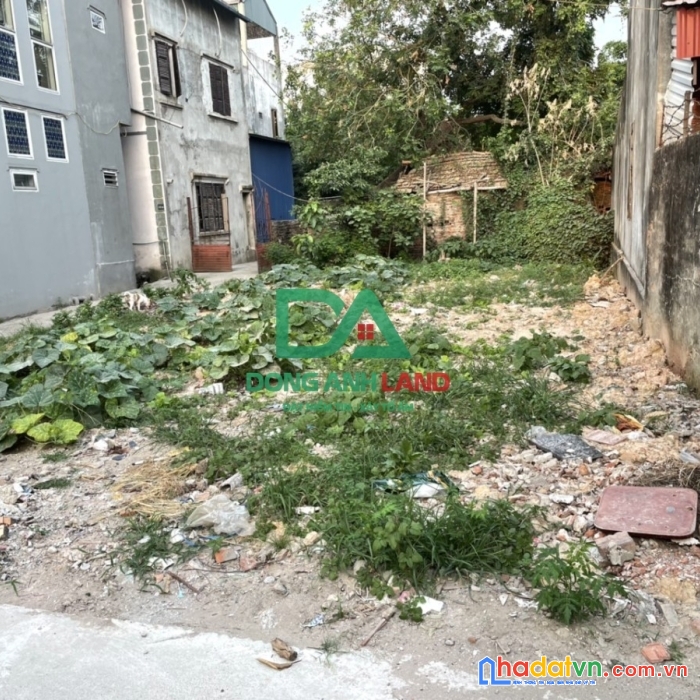 Bán đất cổ dương tiên dương đông anh hà nội – 120m2  – lô góc