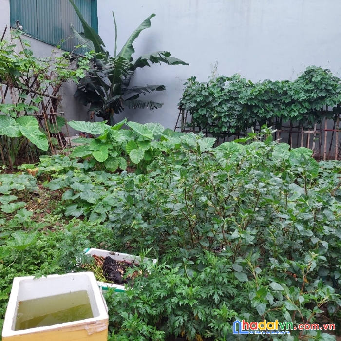 Giá sốc đất hoàng như tiếp 190m nhỉnh 20tỷ mt 9m