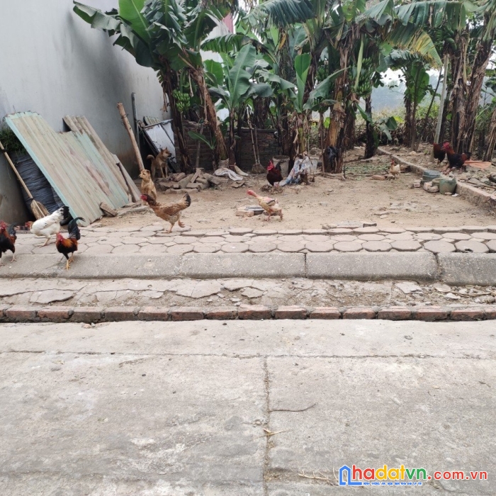 Cần bán 104m2 đất tại quán mỹ, tân dân, sóc sơn. giá đầu tư