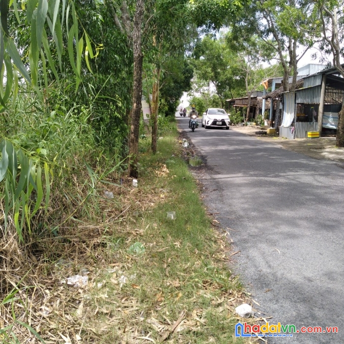 Bán đất nền vị trí đẹp tại ấp chà là, xã đầm phán, huyện đầm dơi, cà mai