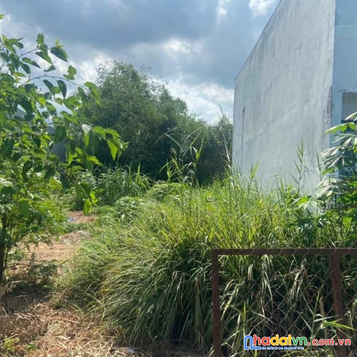 Bán đất nềntân kim cần giuộc 112m2. shr thổ cư lh 0706878112