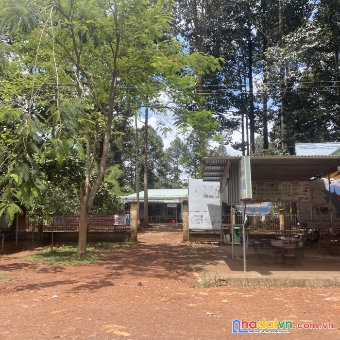 Đất thổ vườn giá rẻ bình phước