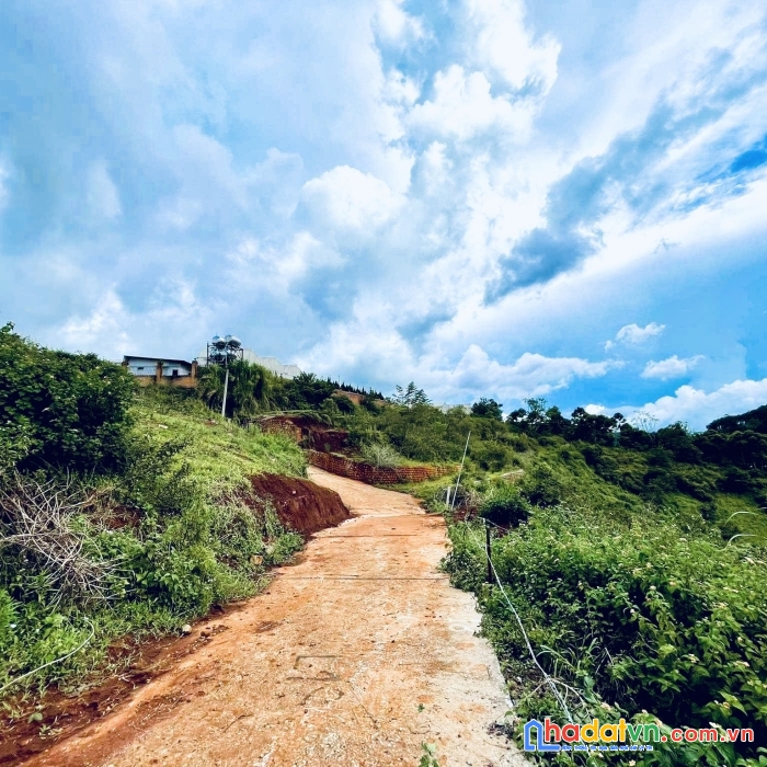 Chưa đến 5 tỷ để sở hữu ngay lô đất thơ mộng hơn 200m2 toạ lạc tại măng lin - đà lạt