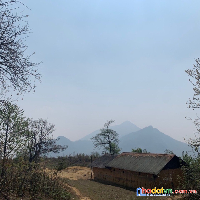 Siêu phẩm 400m2 săn mây đỉnh của chóp tại y tý ( sapa2) ( 0369583341)