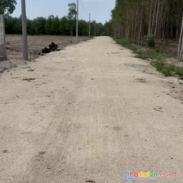 Cần bán lô đất mẫu thôn 1 - sơn mỹ -hàm tân - bình thuận