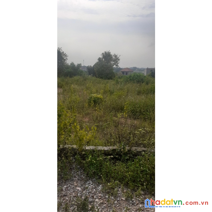 Còn duy nhất 3 lô đất ở tt cả kép,lạng giang,yên dũng,bắc giang