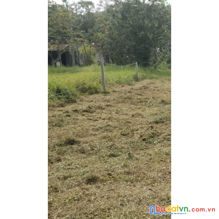 Bán đất thổ cư 145.6m² tại đường tỉnh lộ 15, xã an nhơn tây, huyện củ chi, tp. hồ chí minh giá