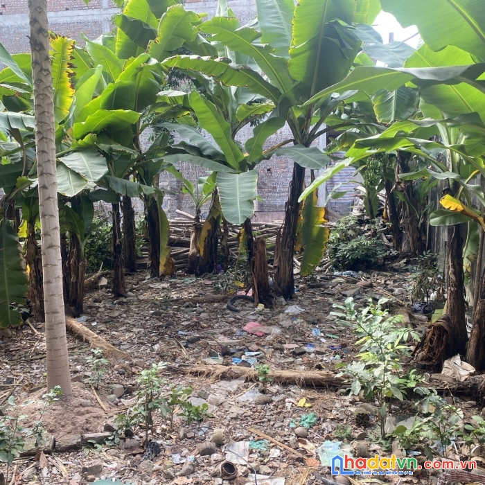 Cần bán đất đầu rồng thuộc phú gia - phú thượng - tây hồ - hà nội.