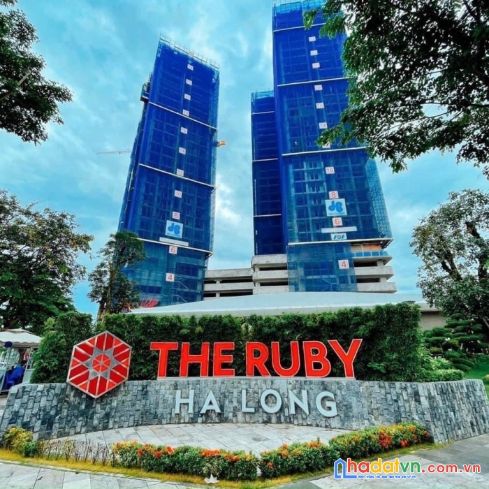 Căn hộ chung cư cao cấp the ruby hạ long