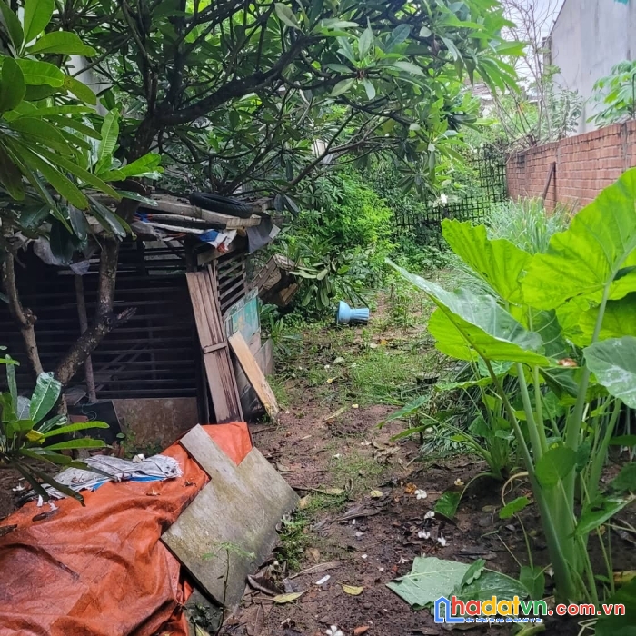 Cần bán đất mặt tiền 220m2 giá 50 triệu/m2 bằng ngân hàng định giá