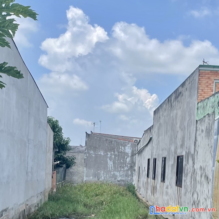 Đất đức hòa long an ~11tr/m