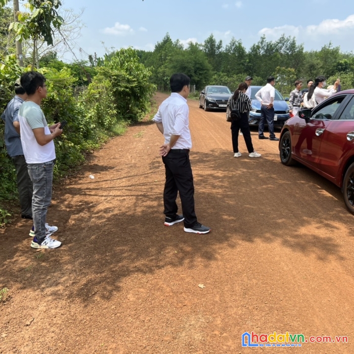 Chính chủ chuyên cung cấp sỉ lẻ, đất nền, sào, đất mẫu tại xã lộc thành, lộc ninh