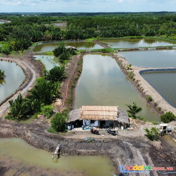 Đất vườn sinh thái nhơn trạch giá rẻ đầu tư