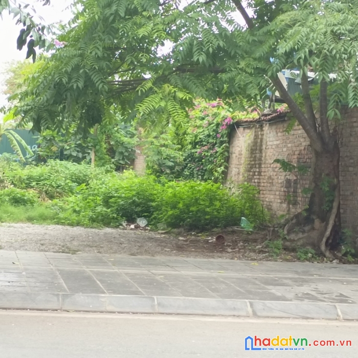 Bán đất thanh am 120m2*5m, 7.25 tỷ đất đẹp ngõ to, ô tô tránh đỗ vào đất.