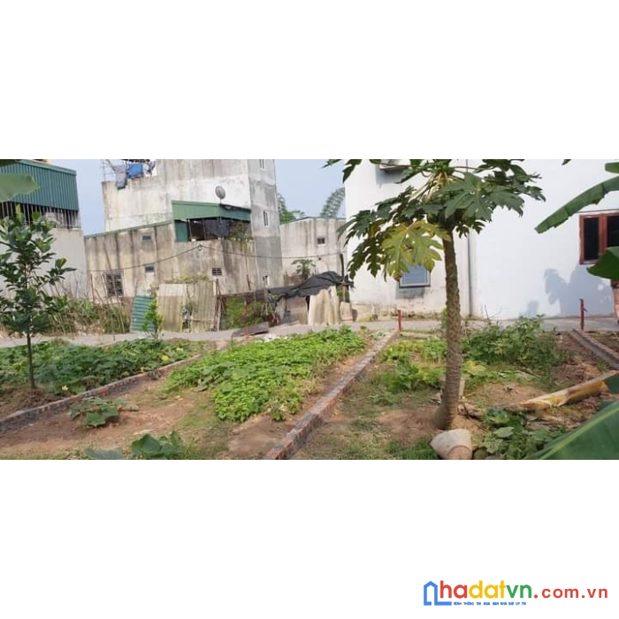 Cần bán đất tại tả thanh oai thanh trì,dt 125m chia được 3 lô, giá đầu tư, ô tô đỗ 20m.