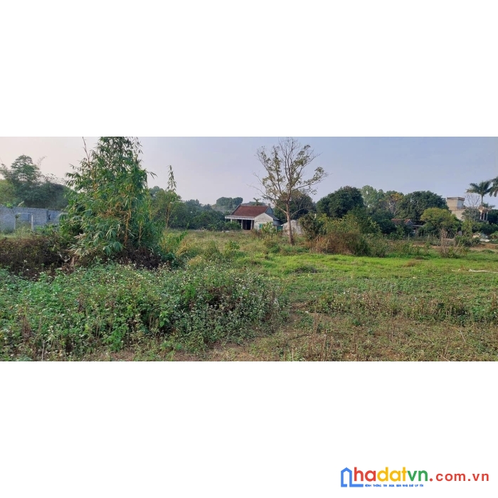 Bán 7000 m2 đất phú cát quốc oai - hà nội giá 50 tỷ