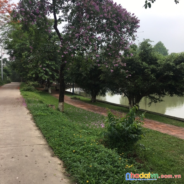 Bán đất nền xã cổ loa đông anh 117m xóm mít giá rẻ