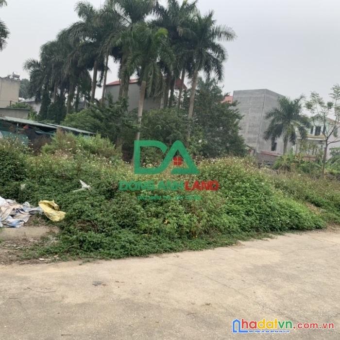 Bán đất đấu giá viên nội vân nội đông anh hà nội