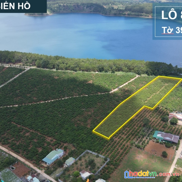 Bán gấp 8.958m2 đất mặt biển hồ, tp pleiku gia lai giá 2.1 triệu 1 mét vuông.