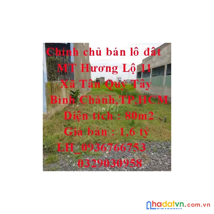 Chính chủ bán lô đât mt hương lộ 11, xã tân quý tây, huyện bình chánh, tp hồ chí minh