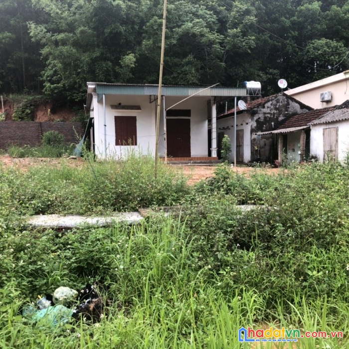 Bán mảnh diện tích khoảng 600m2 đài xuyên, vân đồn nằm trong khu dân cư