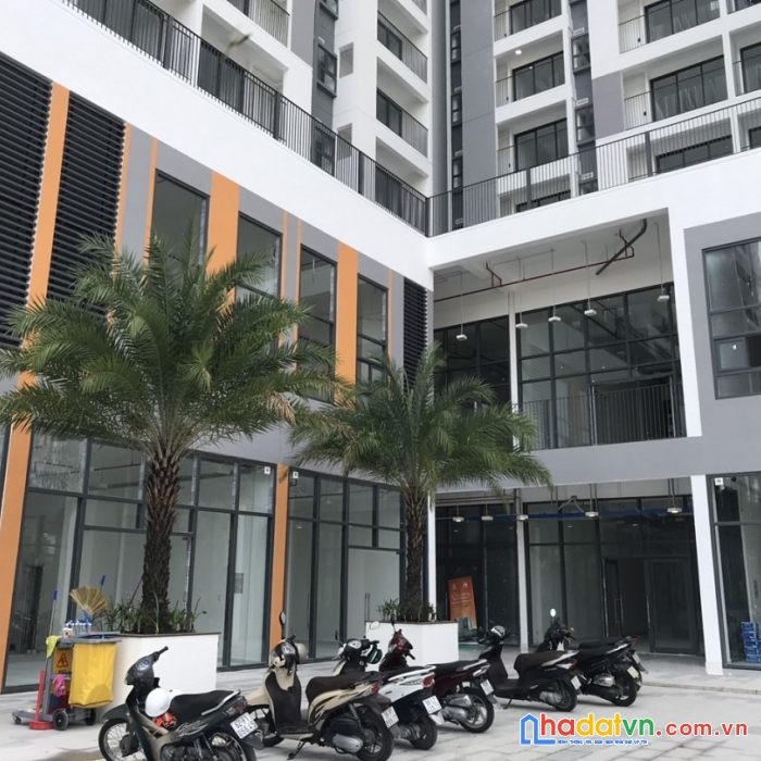 Shophouse ricca quận 9 chỉ 40 triệu/m2. chiết khấu 5% + tặng nt 300 triệu