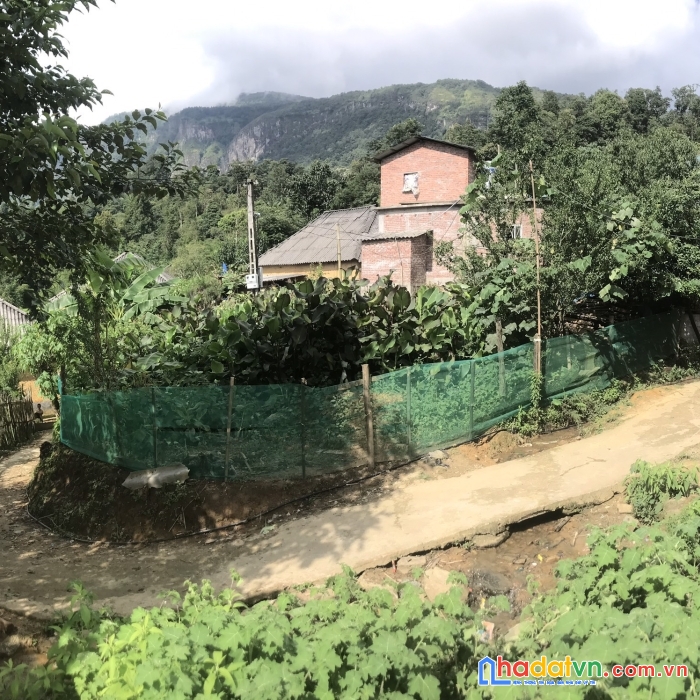 Bán mảnh đất tại thôn văn hoá lao chải 2, diện tích 279.6m2 view thung lũng