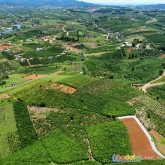 Bán đất đẹp mặt tiền đường lớn view thoáng giá tốt tại trung tâm xã lộc quảng bảo lâm lâm đòng