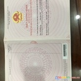 ◾️biệt thự phong cách châu âu sang trọng 17/13 đồng xoài,p13,quận tân bình