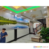 Nhà đẹp 5 tầng - hẻm thông xe hơi ngủ nhà - 81m2 ( 4/4,1 × 20) -  chỉ 8,9 tỷ tl - nguyễn duy cung