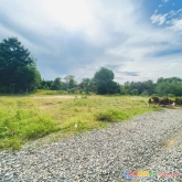 Bán đất khu tái định cư 2mt, có 200 ont trung tâm thôn 4 sơn mỹ