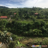 Bán nhanh siêu phẩm gần1500m2 thích hợp làm homestay,suối đằng sau, gần ql4. sẵn sổ đỏ chỉ chờ