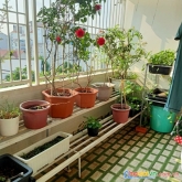 Bán nhà hẻm xe hơi, vị trí đẹp, đường huỳnh tấn phát quận 7 ☎ mr hòa 0909127160