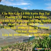 Cần bán gấp lô đất vườn đẹp tại phường 4 tp đà lạt lâm đồng