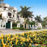 Tôi chuyển nhà sang nước ngoài nên cần bán gấp căn biệt thự 180m2 tại ciputra tây hồ