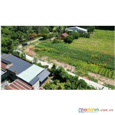 Đất hiệp thạnh đầu tư sinh lời nhanh