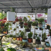 Chính chủ bán nhà tại đường số 6, phường long trường, quận 9, dt64m2 giá 5.4 tỷ