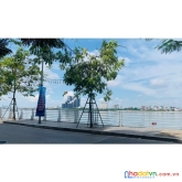 Hàng hiếm! nhà 5t lạc long quân 40m2 mt:4.0m,giá 4.1tỷ 0975048581