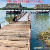 Một lô duy nhất tại sân bay long thành