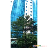 Bán nhà mặt phố cầu giấy 295m2, 13 tầng, mt30m 0909858789