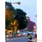 Bán nhà mt kinh doanh đường đoàn giỏi sát aeon mall tân phú 184005