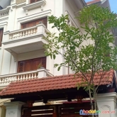 Biệt thự đẳng cấp, kđt việt hưng, long biên 116m mt6 giá 19.8 tỷ.0971879199