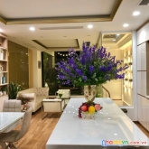 Bán nhà hoàng cầu, 50m2, 5t, mt5m, ô tô kinh doanh, nội thất đẹp