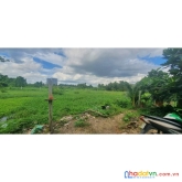 Bán đất 1923m2 gò dưa tam bình thủ đức chỉ 6.7 tỷ