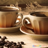 Chính chủ cần sang nhượng  quán cà phê đang hoạt động tốt tại đường tiểu la – đà nẵng .
